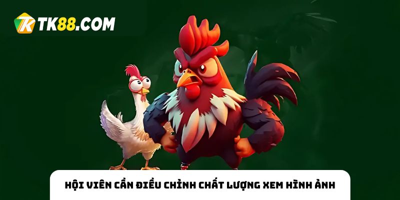 điều chỉnh chất lượng xem trực tiếp game TK88