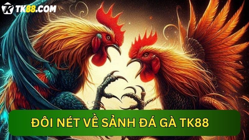 Tìm hiểu đôi nét về sảnh Đá gà TK88 