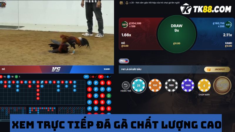 Trực tiếp đá gà TK88